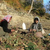 زنان روستایی، بیساران، از توابع بخش مرکزی شهرستان سروآباد کردستان