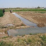 نمایی از زمین‌ کشاورزی