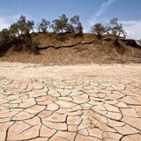 نمایی از تپه ای خشک با چند درخت و زمینی بیابان شده